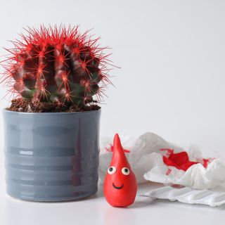 Poprawia zdrowie naczyń krwionośnych